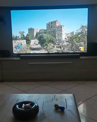 tv lg oled 65 b4 