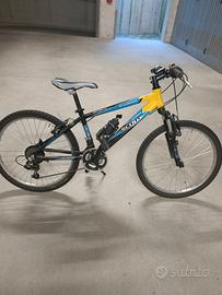 Bicicletta Scout Mountain bike 24 pollici