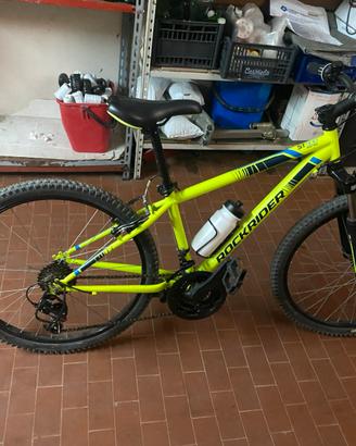 Mountain bike 24