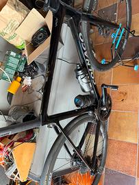 Telaio Colnago V4RS misura 530 - dicembre 2024