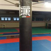 Sacchi Thai Boxe Leone Adidas e Pao/Colpitori vari