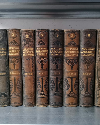 Nouveau Larousse Illustré - Dictionnaire Universel