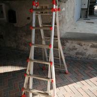 scala multiposizione professionale