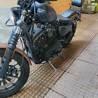 Harley Davidson iron Xl 883N