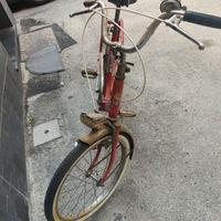 Bici safari