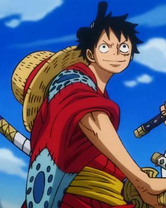 Cerc  carte One piece