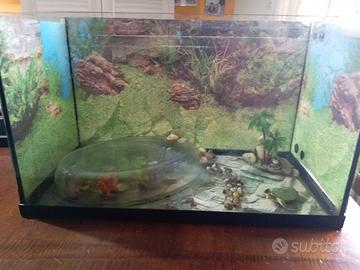 acquario 