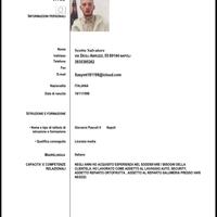 lavoro come Security o portinaio
