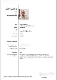 lavoro come Security o portinaio