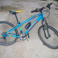 bicicletta lombardo 24"