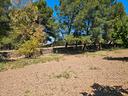 terreno-alberato-ba003800