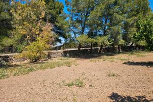 Terreno alberato BA003800