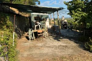 Terreno  con casetta