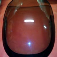Plexiglass parabrezza kawasaki zx10 87