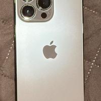 Iphone 13 Pro 256 Gb