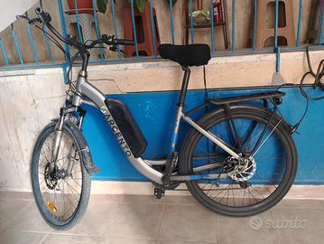 Bicicletta elettrica