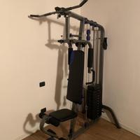 Palestra Domyos