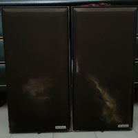 Coppia di casse anni ’70 DA RICONARE