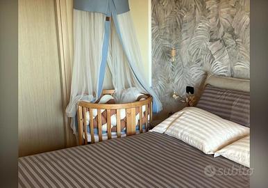 Culla evolutiva Alemy