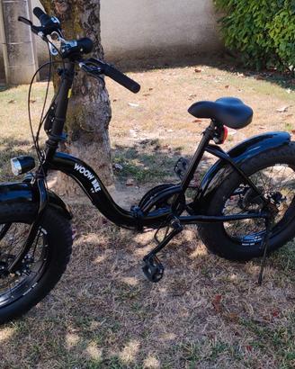 Bicicletta Wow Bike