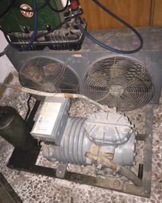 Motore frigo