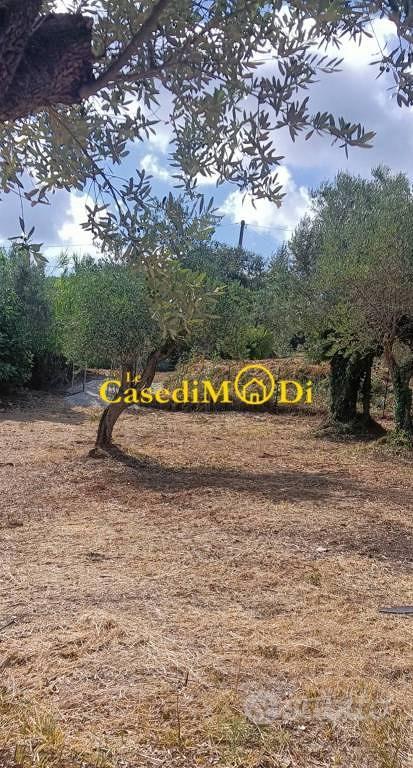 Terreno di 1480 m² a Livorno - Vista 5