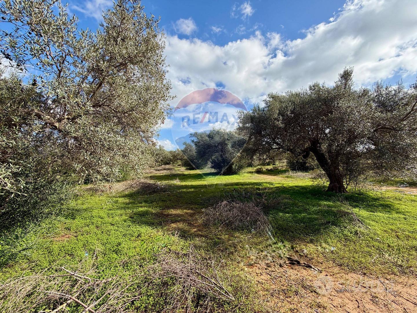 Terreno - Chiaramonte Gulfi - View 6
