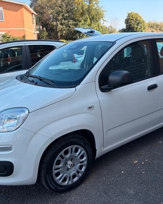 Fiat Panda 1.0 FireFly S&S Hybrid Pandina
