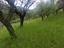 Immagine 14