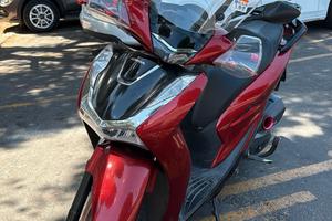 impeccabile scattante Sh 125