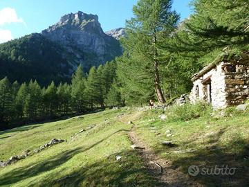 Baita/Chalet/Trullo Varzo [QuaBon0817VRG]