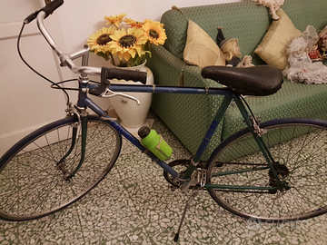 Bicicletta uomo