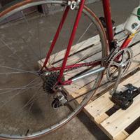 Bicicletta Olmo