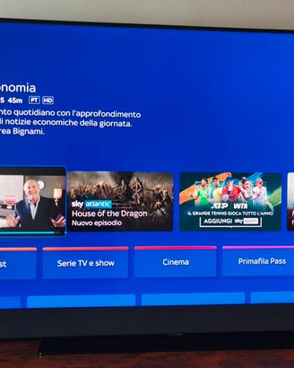 TV 65 pollici 