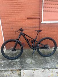 Trek remedy 8