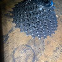 Pacco pignoni Campagnolo Chorus 11v 12-27