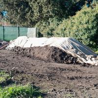 Compost  da letame bovimo biologico certificato