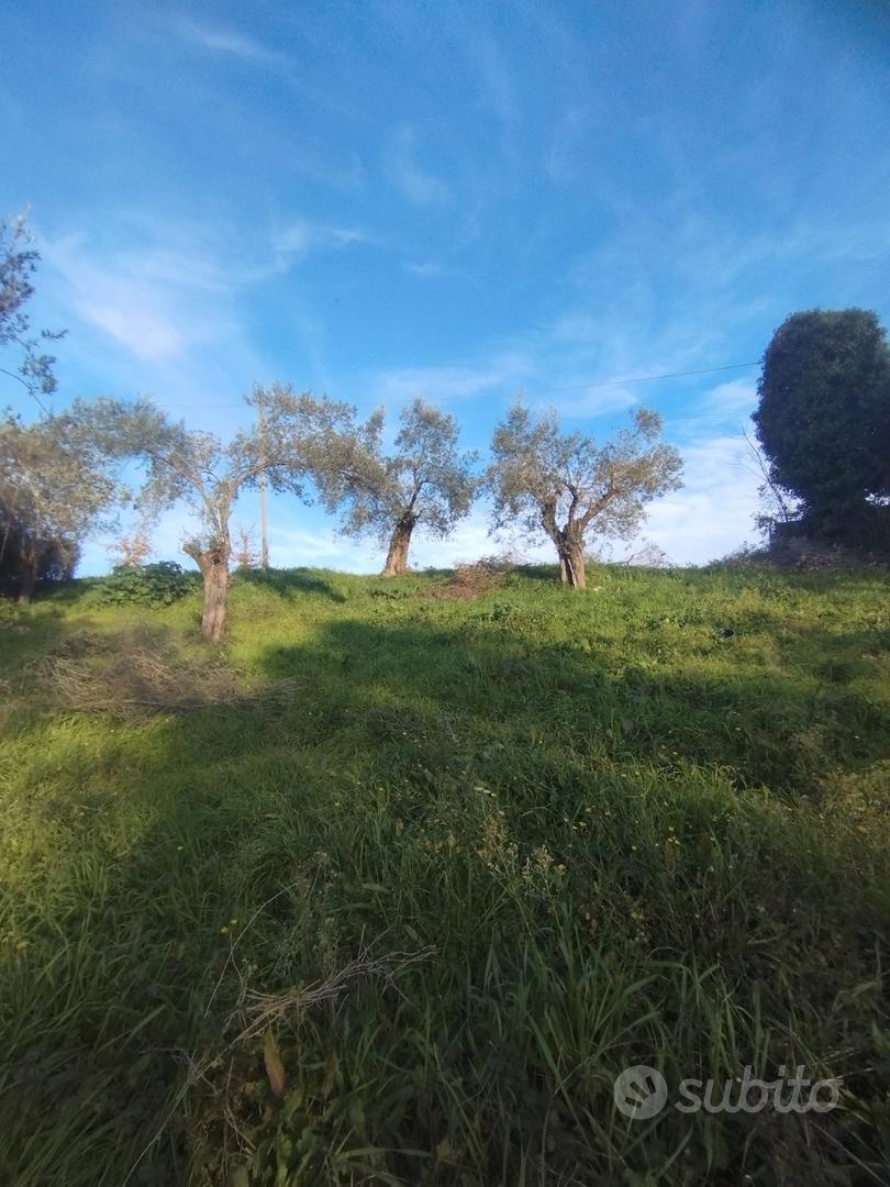 Terreno collinare Torrice (FR) - Vista 4