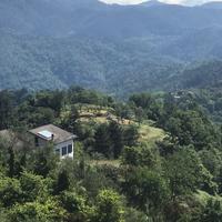 Terreno agricolo