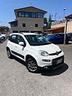fiat-panda-4x4-1-3-mjt-75-cv-2015