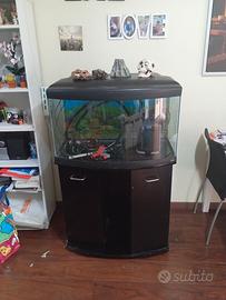 acquario completo con mobile