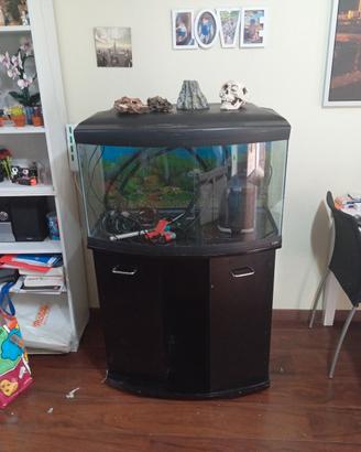 acquario completo con mobile
