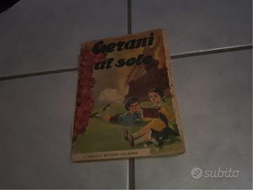 Gerani al sole - scuola elementare 1953 Sicilia 