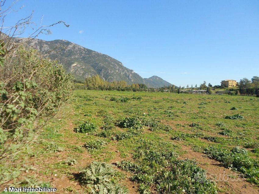 Terreno Loc. Funtana Marzu mq. 10000 - Vista 2