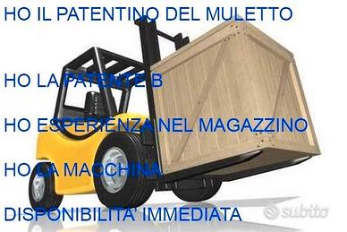 Operaio / patentino del muletto/ pat B / Logistica