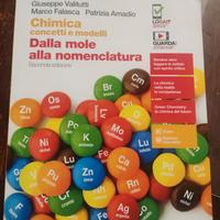 Chimica concetti e modelli