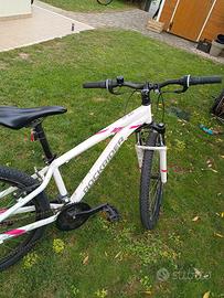 Rockrider B-twin ST 100 ruota da 26" (pollici)