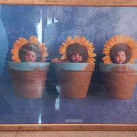 quadro con stampa, cornice dotata