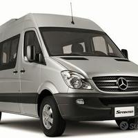 Portellone posteriore Mercedes Sprinter 2006 in po