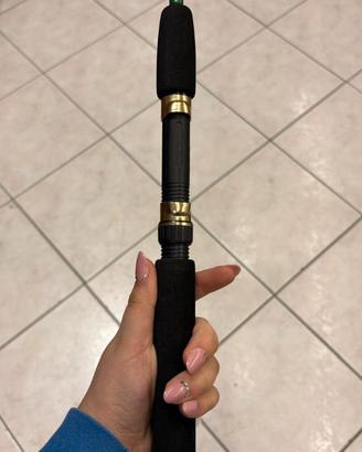 canna da spinning ZEBCO